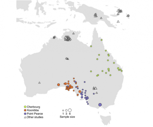 The geographical distribution of the oldest recorded maternal ancestors for the hair sample donors - P.9.